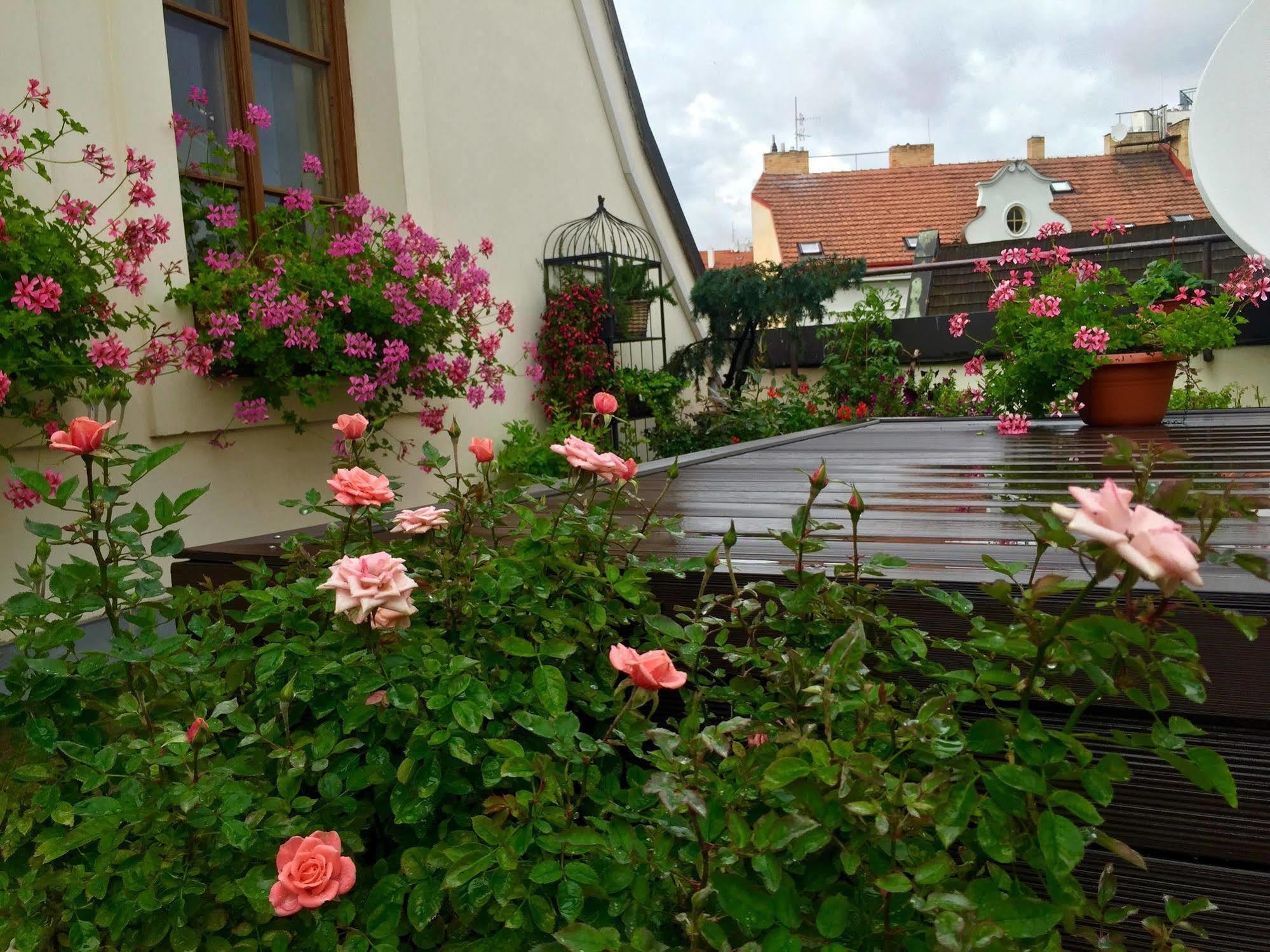 Old Town Boutique Apartments Praag Buitenkant foto